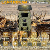 Solar Trail Camera